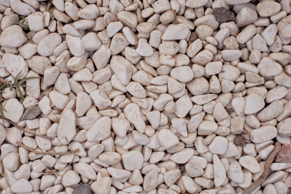 stylowa kompozycja z wykorzystaniem kruszyw ozdobnych w nowoczesnym ogrodzie